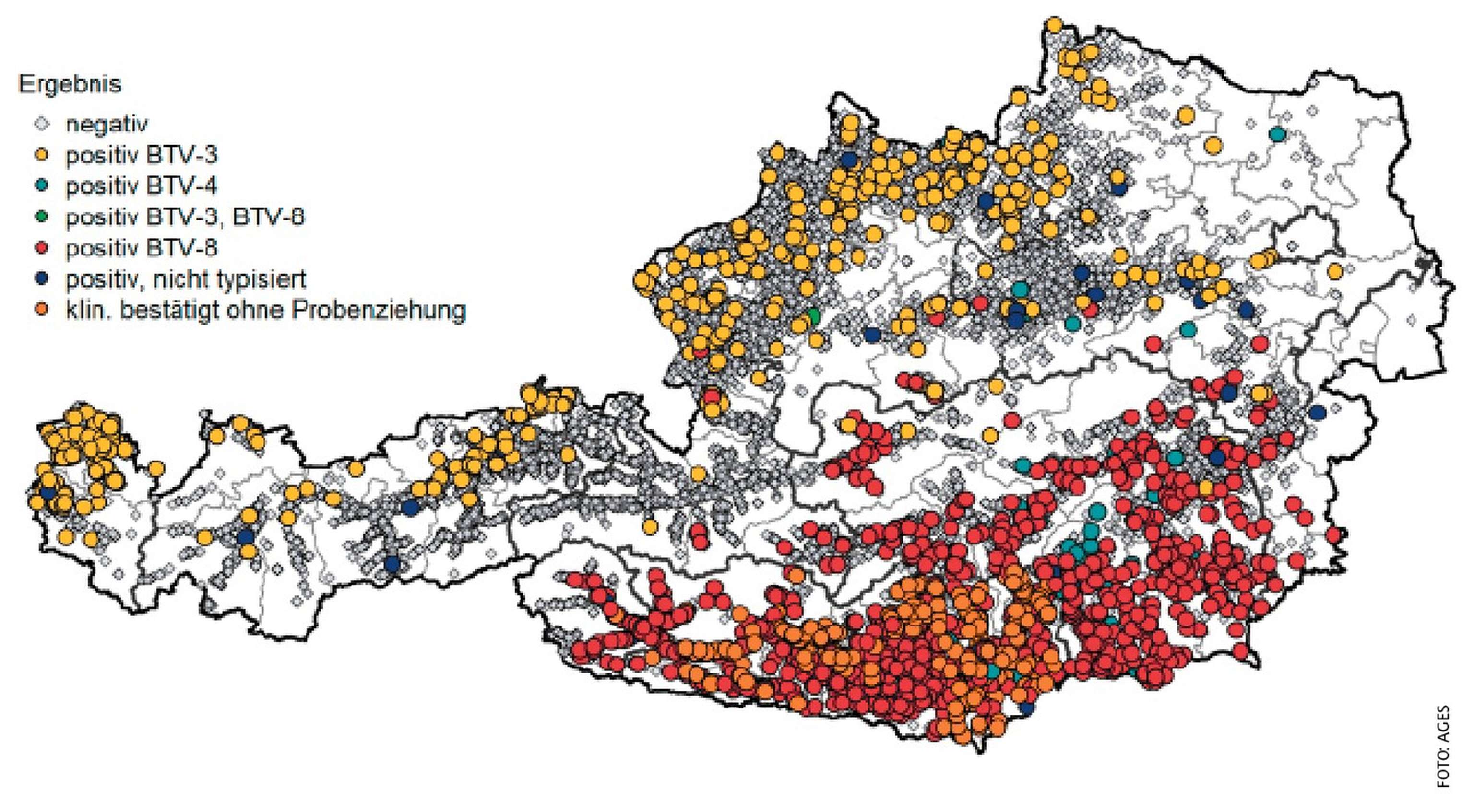 Karte mit Fällen der Blauzungenkrankheit