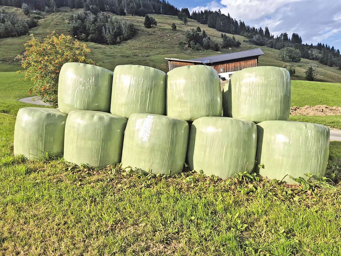 Heuballen