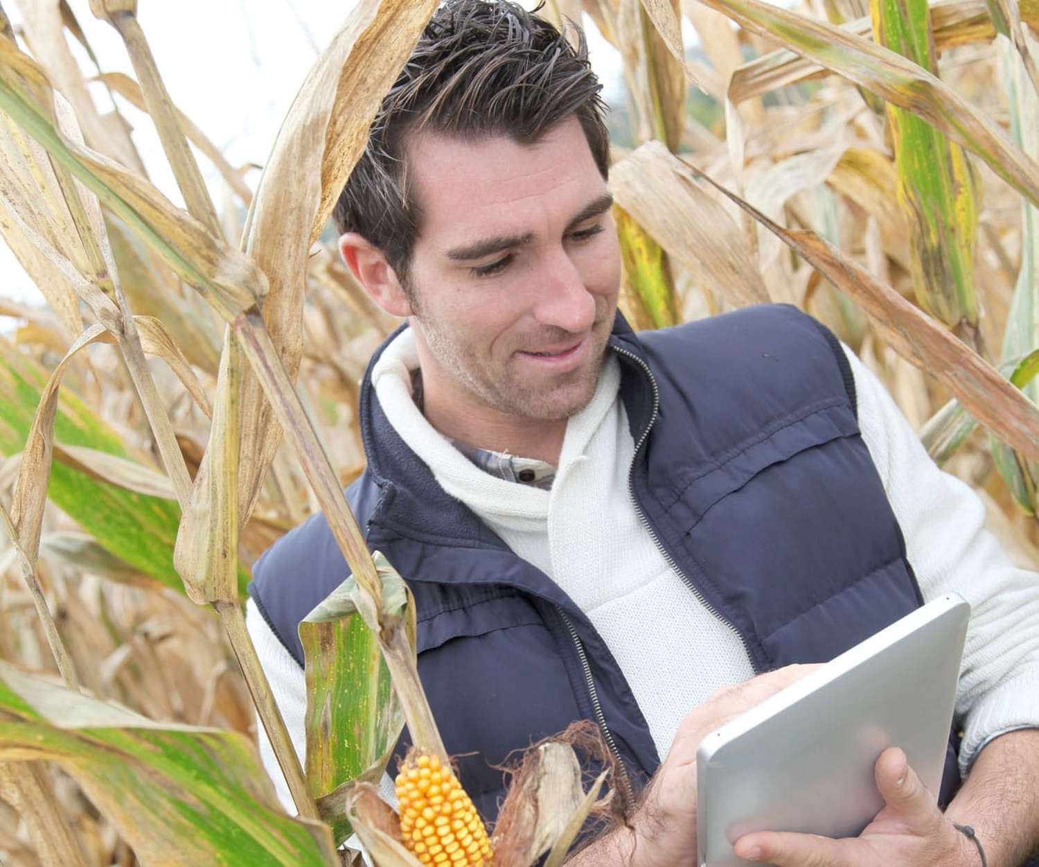 ZAM Agrartechnologie3 Signelements