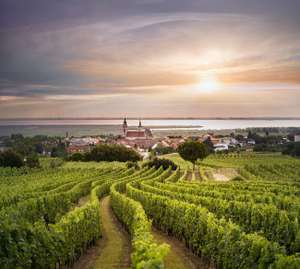 OeWM Marcus Wiesner Bgl Rust Plachen Jpg