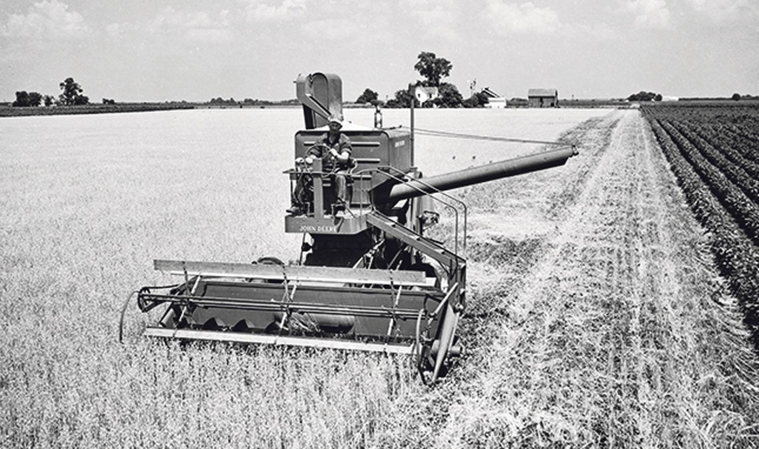 Model 55