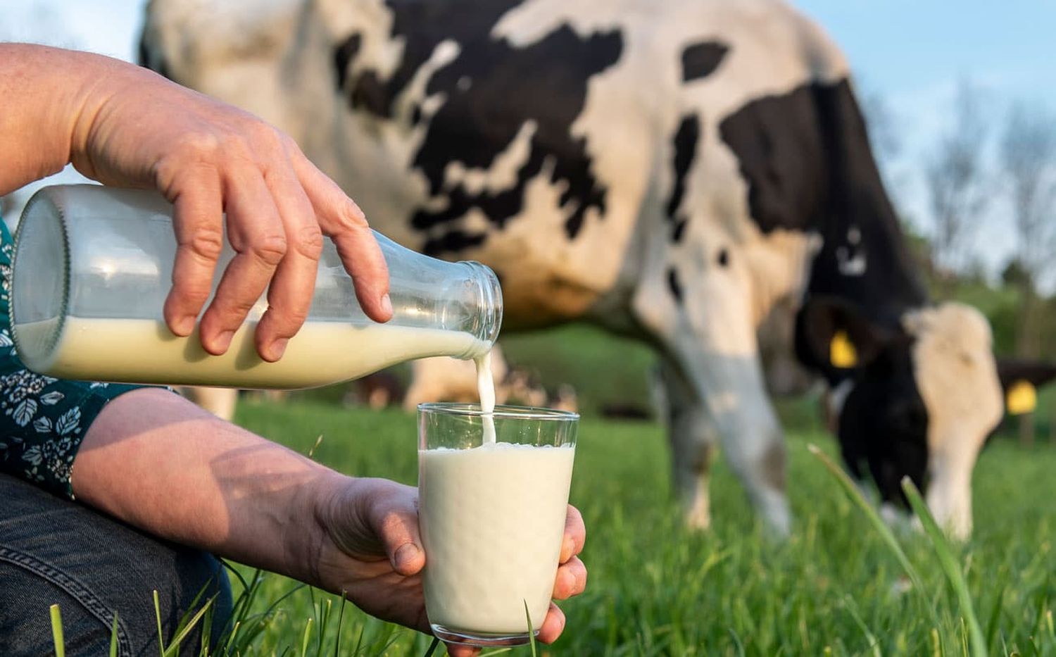 Trinkmilch 26 ID90439