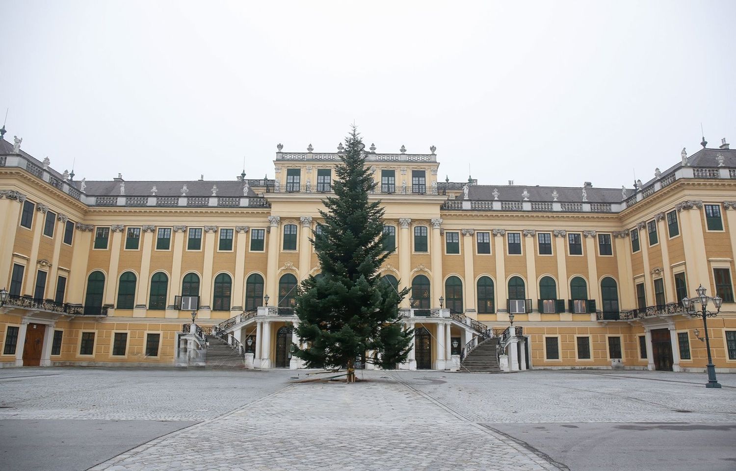 Prachtbaum In Schoenbrunn C Www.weihnachtsmarkt.co.at FOTOFALLY