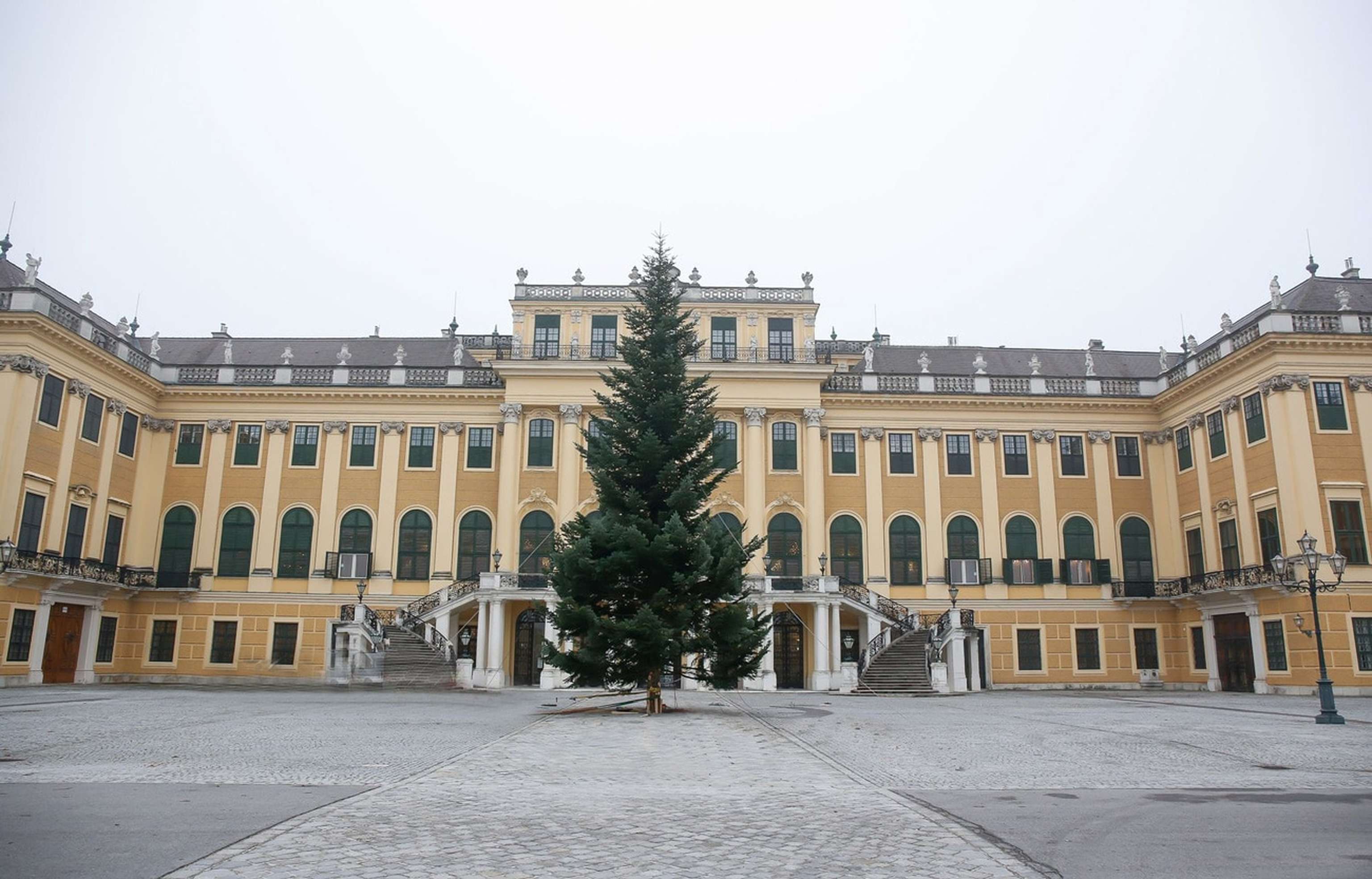 Prachtbaum In Schoenbrunn C Www.weihnachtsmarkt.co.at FOTOFALLY