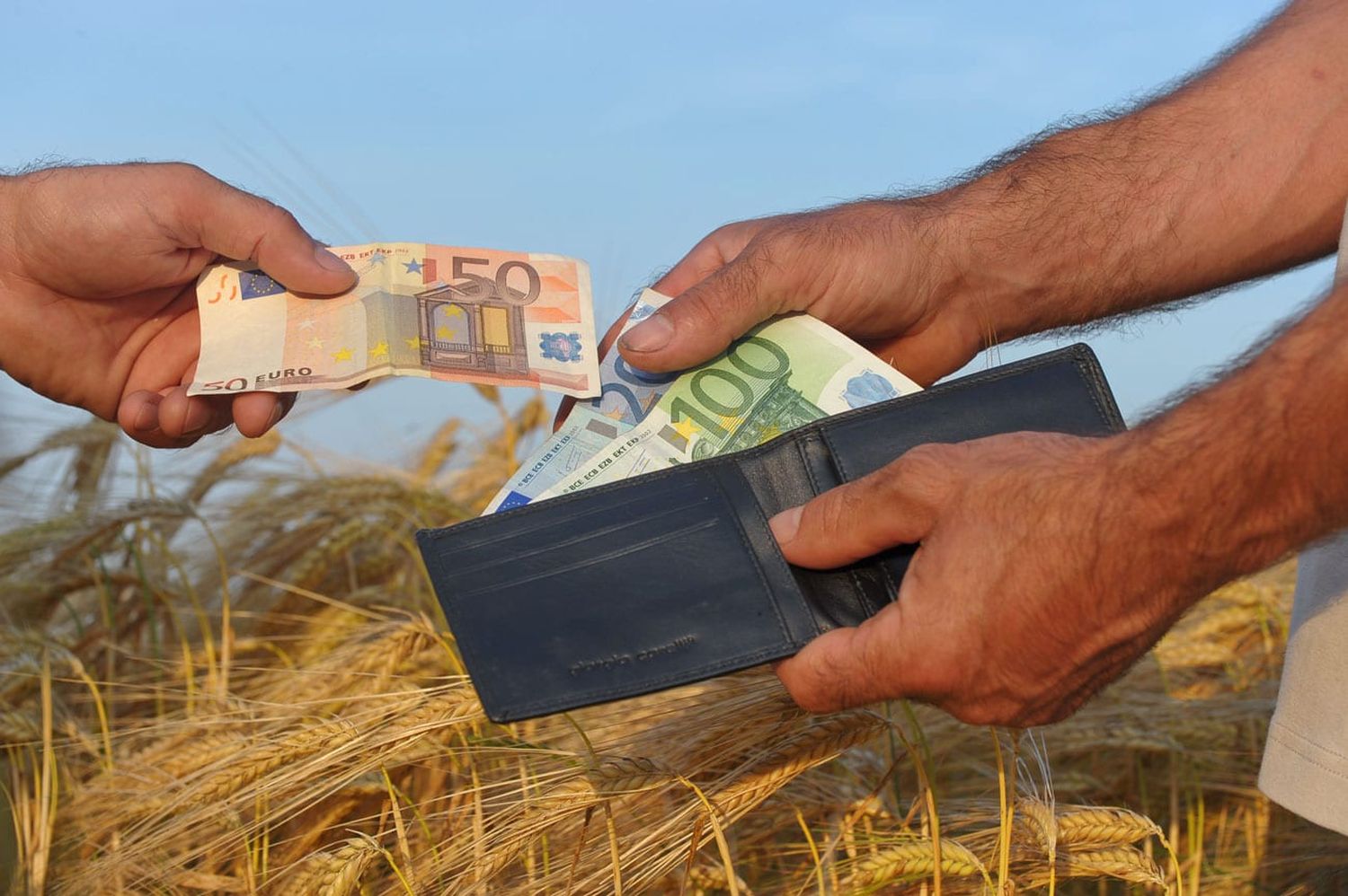 Finanzen