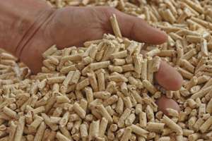 Pellets 9 ID49697