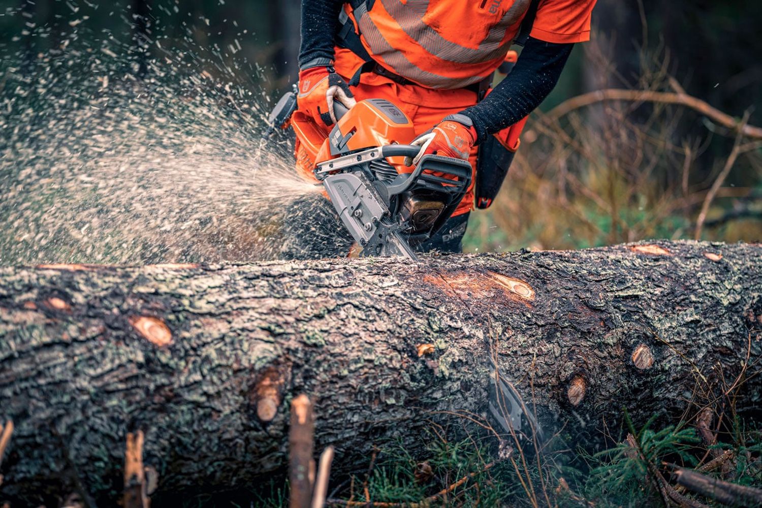 Husqvarna 592XP Action (3)