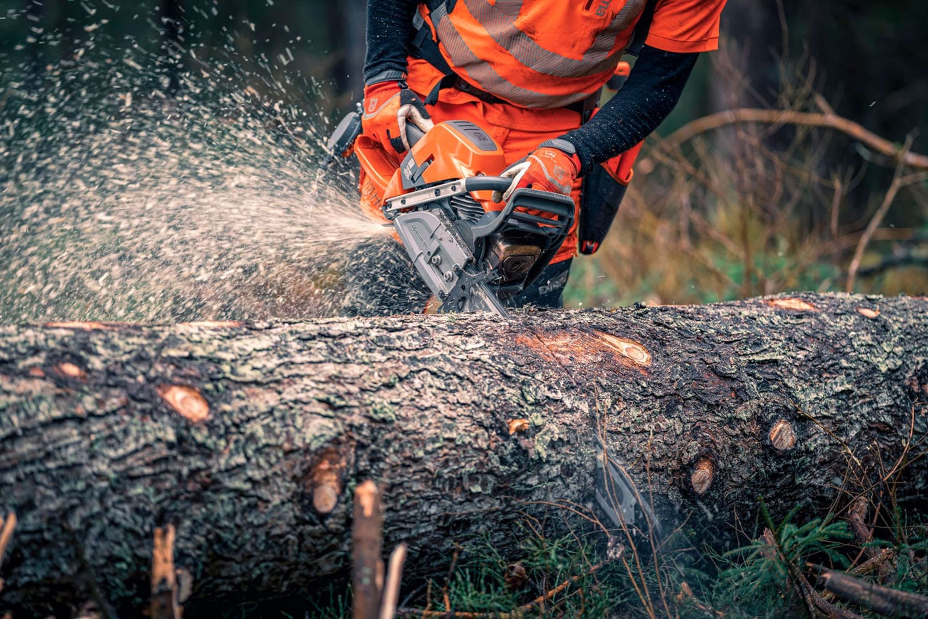 Husqvarna 592XP Action (3)