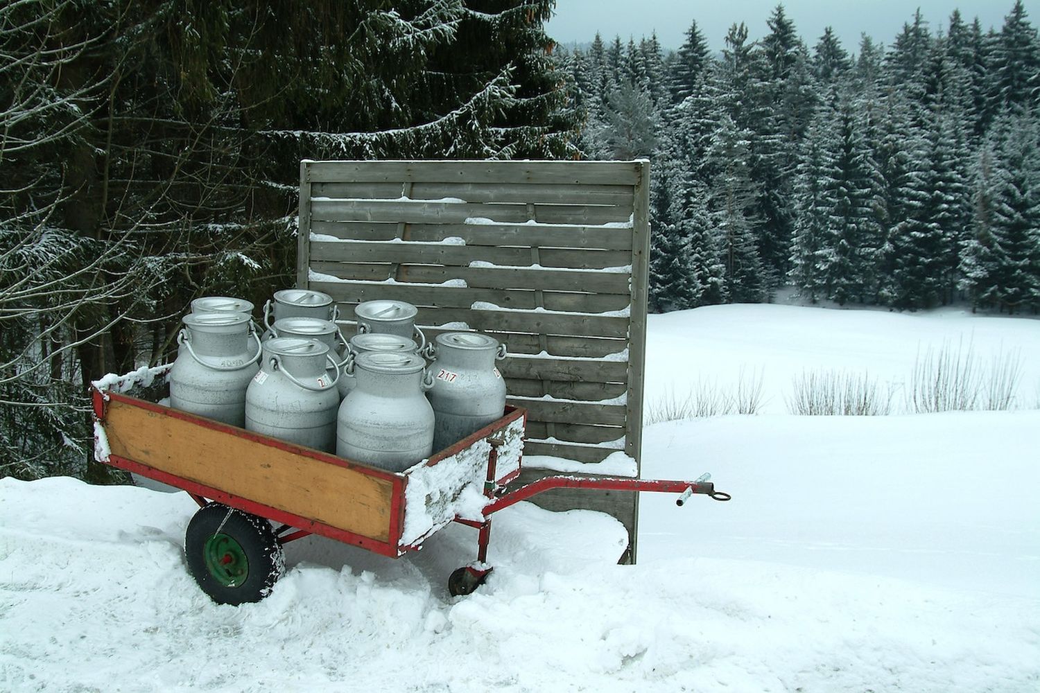 Milch
