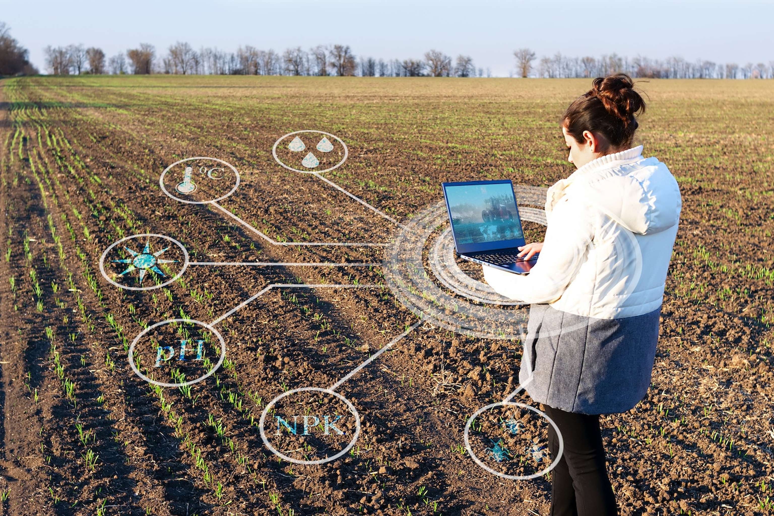 Future Agriculture Concept,