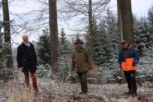 Waldspaziergang