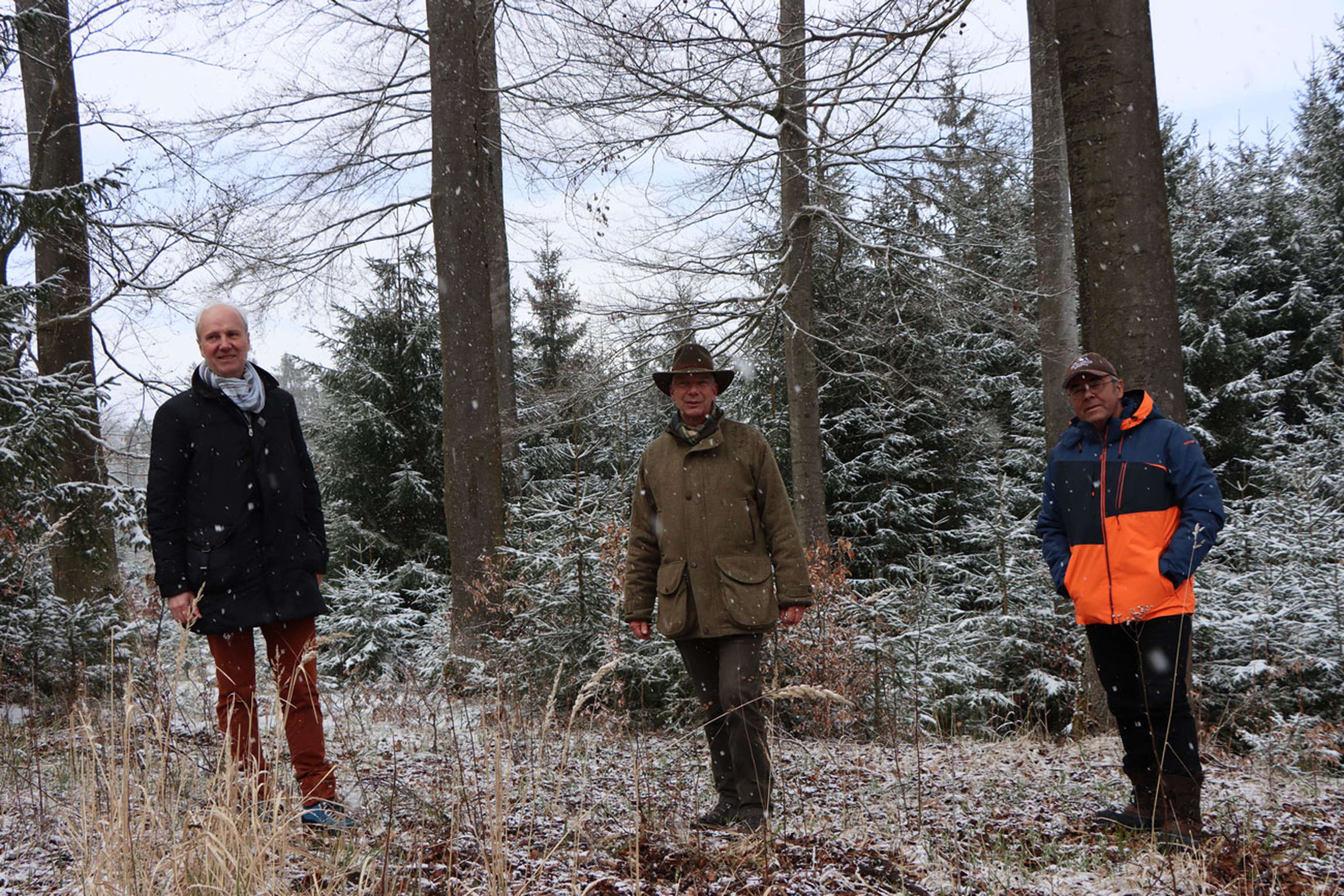 Waldspaziergang