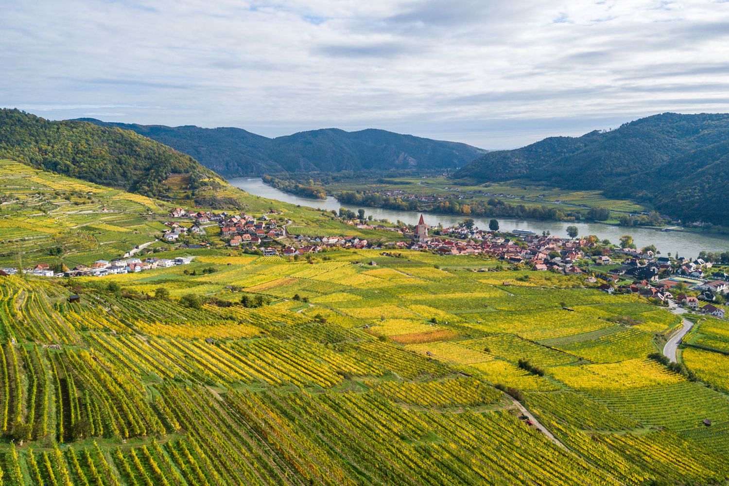 Wachau 38 ID85489