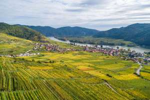Wachau 38 ID85489