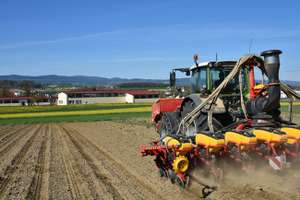 Innovation Farm