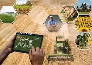 Vernetzte Landwirtschaft 5 ID89069