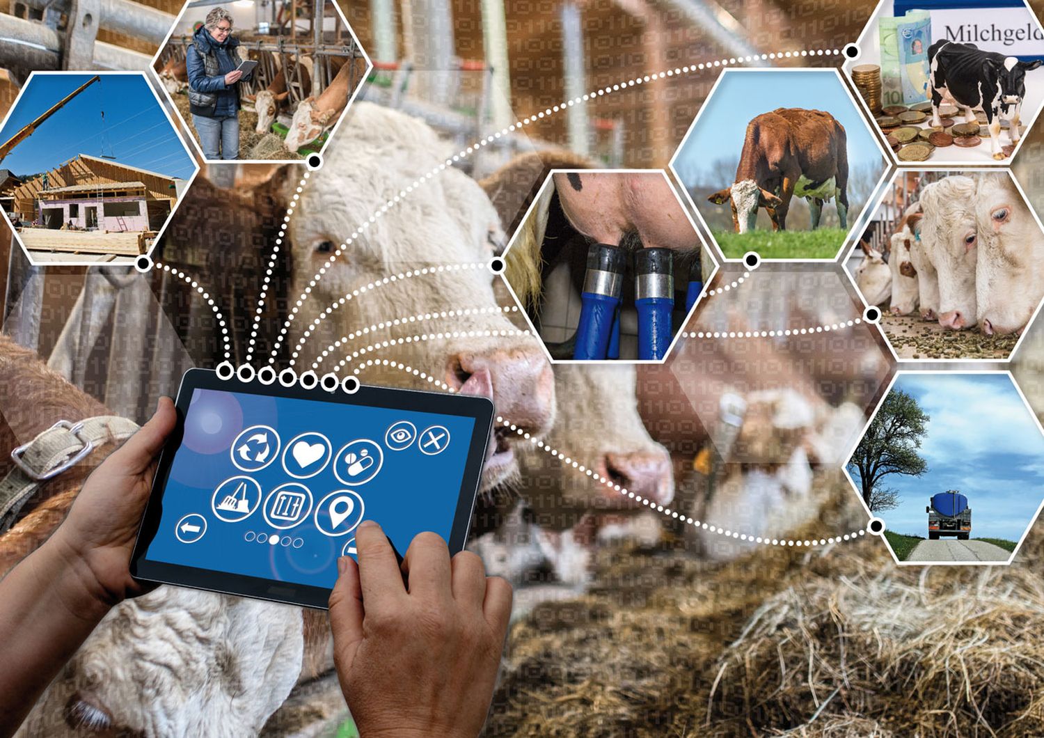 Vernetzte Landwirtschaft 8 ID89066