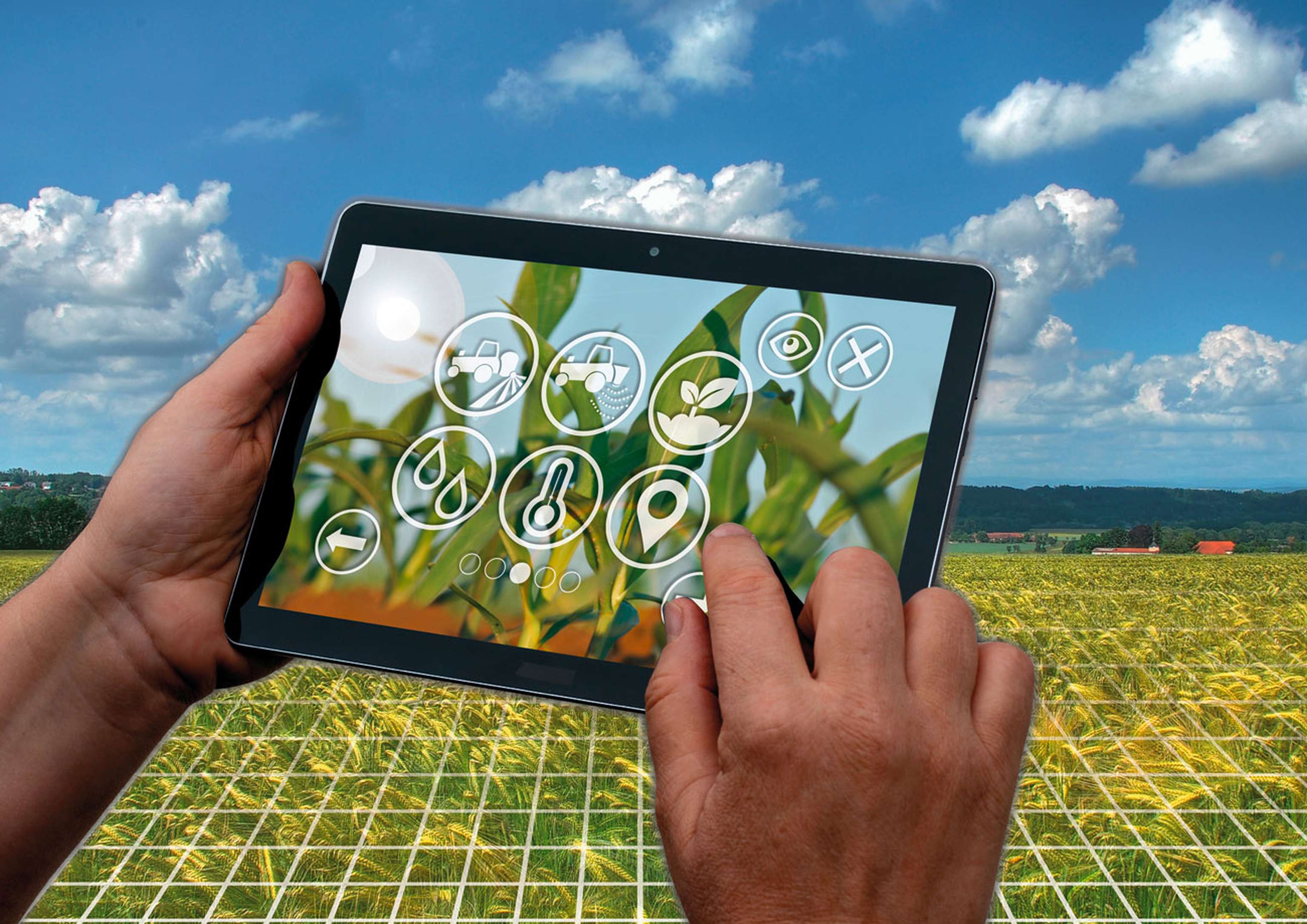 Digitale Landwirtschaft 15 ID88880