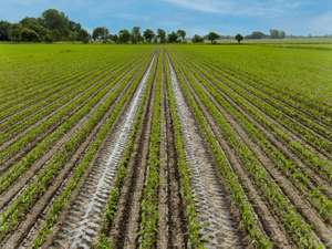 LEMKEN Azurit Tramline