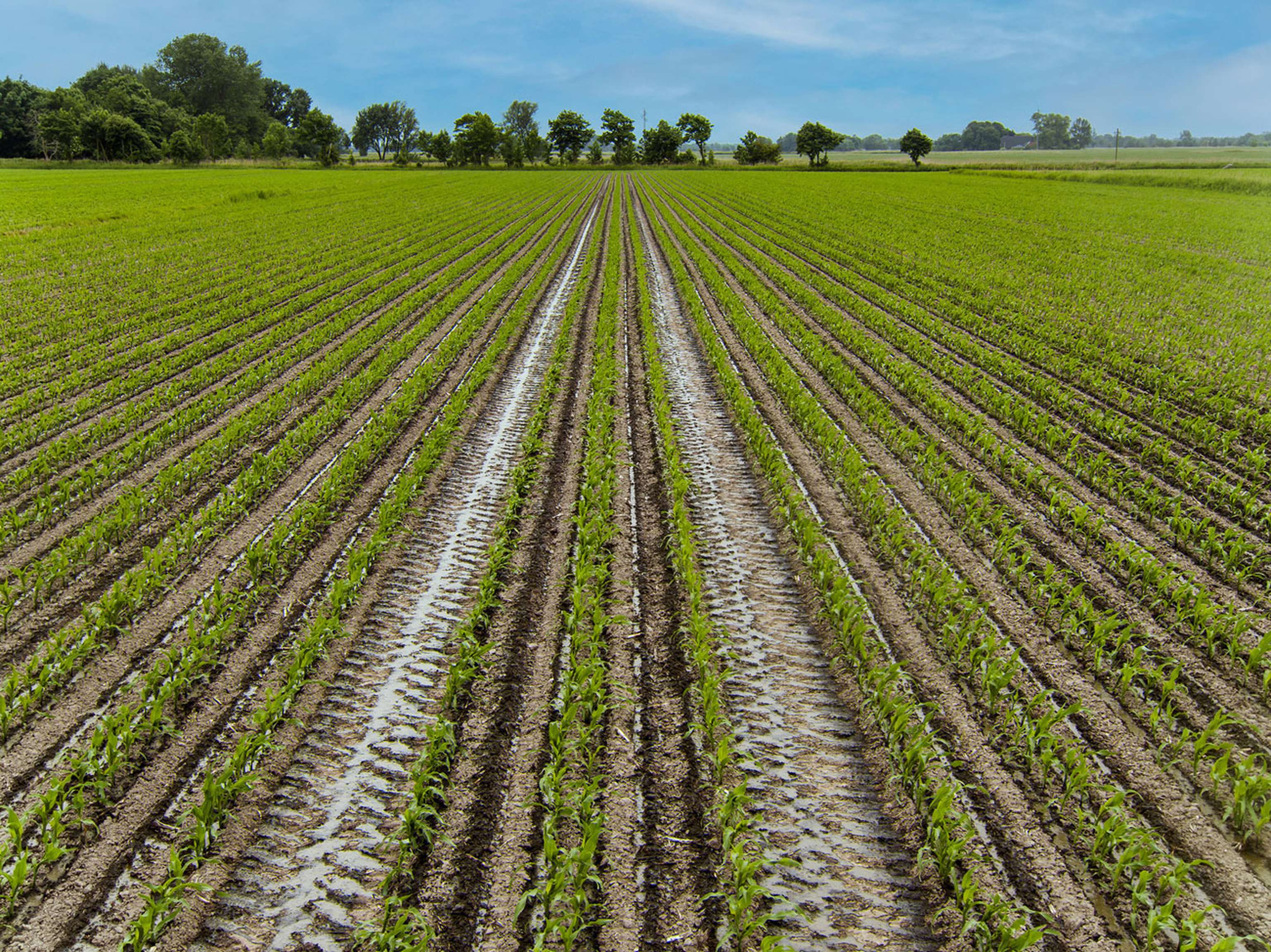 LEMKEN Azurit Tramline