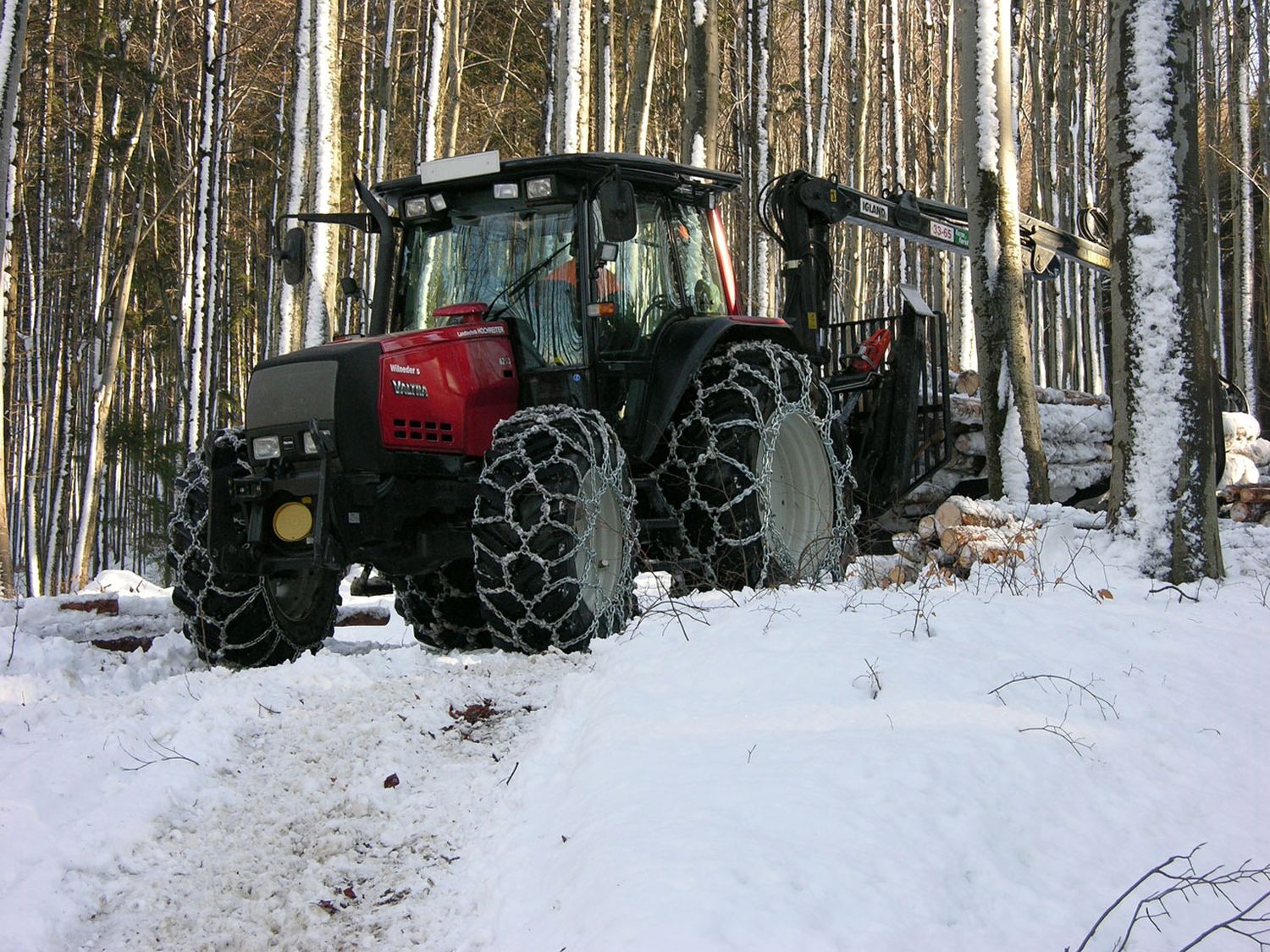 Schwachholz 2 ID28011