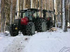 Schwachholz 2 ID28011
