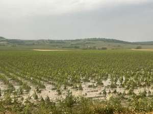 Mais Mailberg NOEjpg