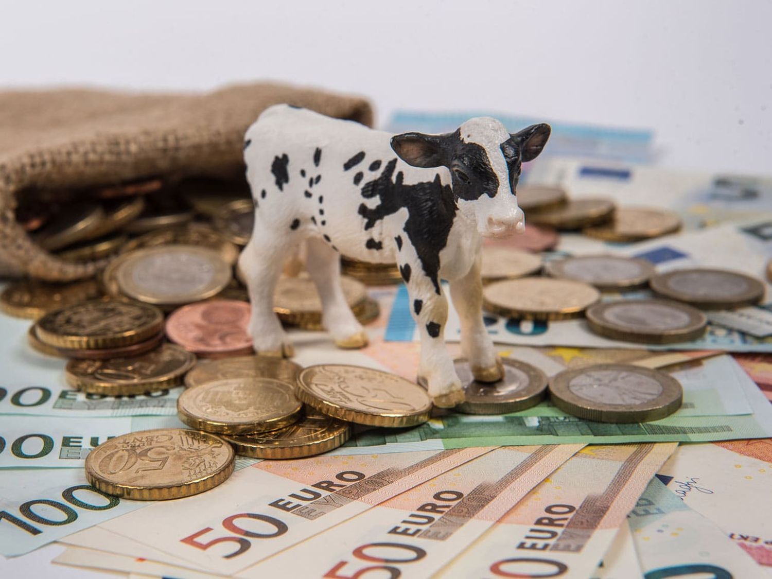 Finanzen Rinder 21 ID76591