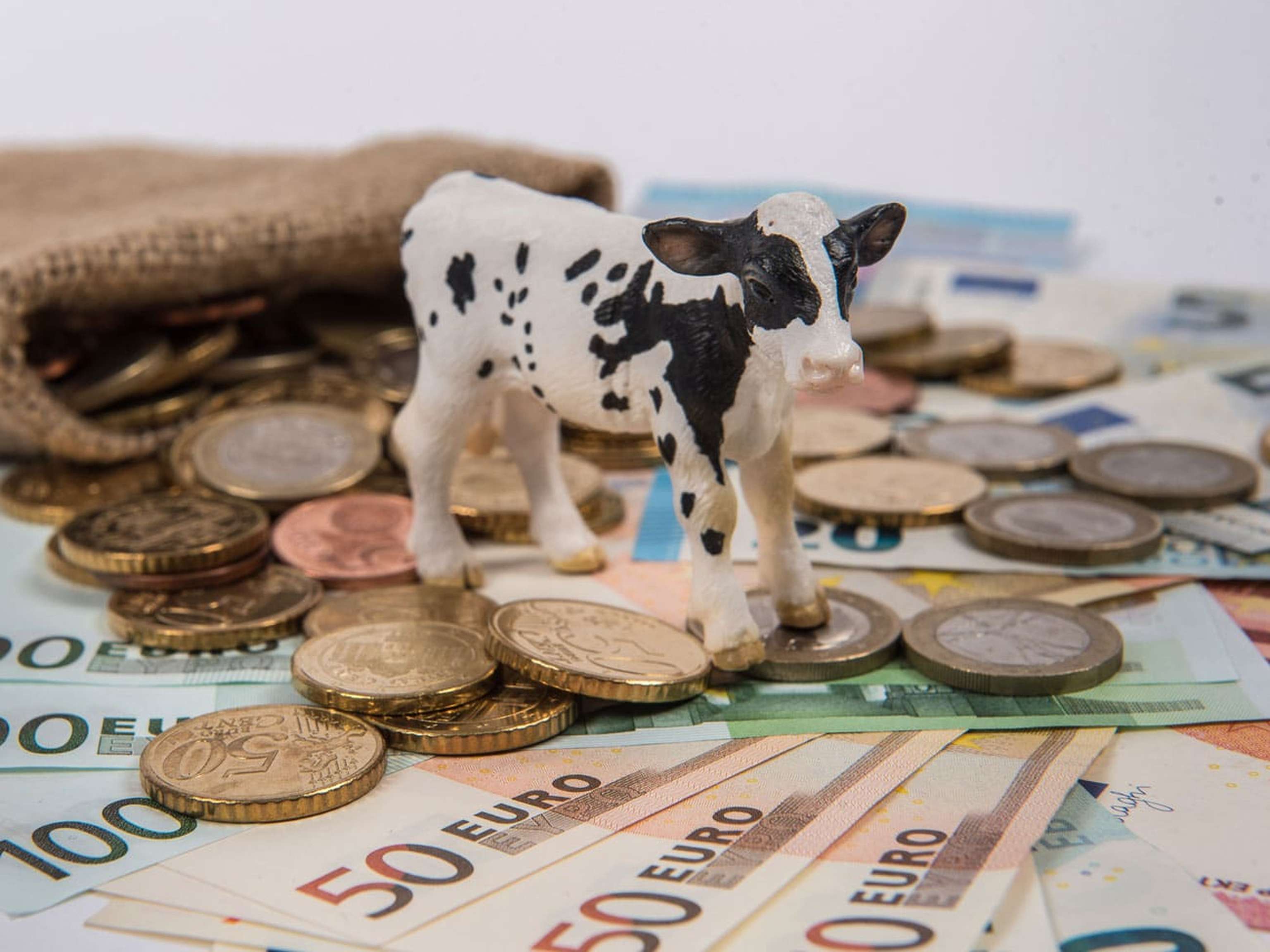 Finanzen Rinder 21 ID76591