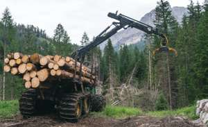 Forwarder im Bergwald