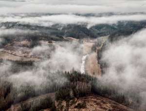 Broschuere Kalamitaetsflaechen S1 Foto