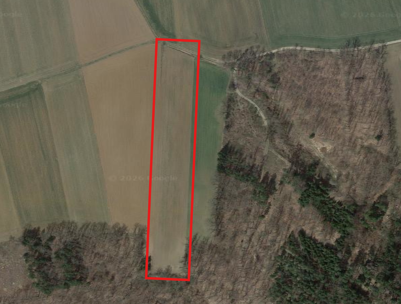 Bild 1 von Anzeige: Bio Acker 1 ha (Bezirk Horn 3580)