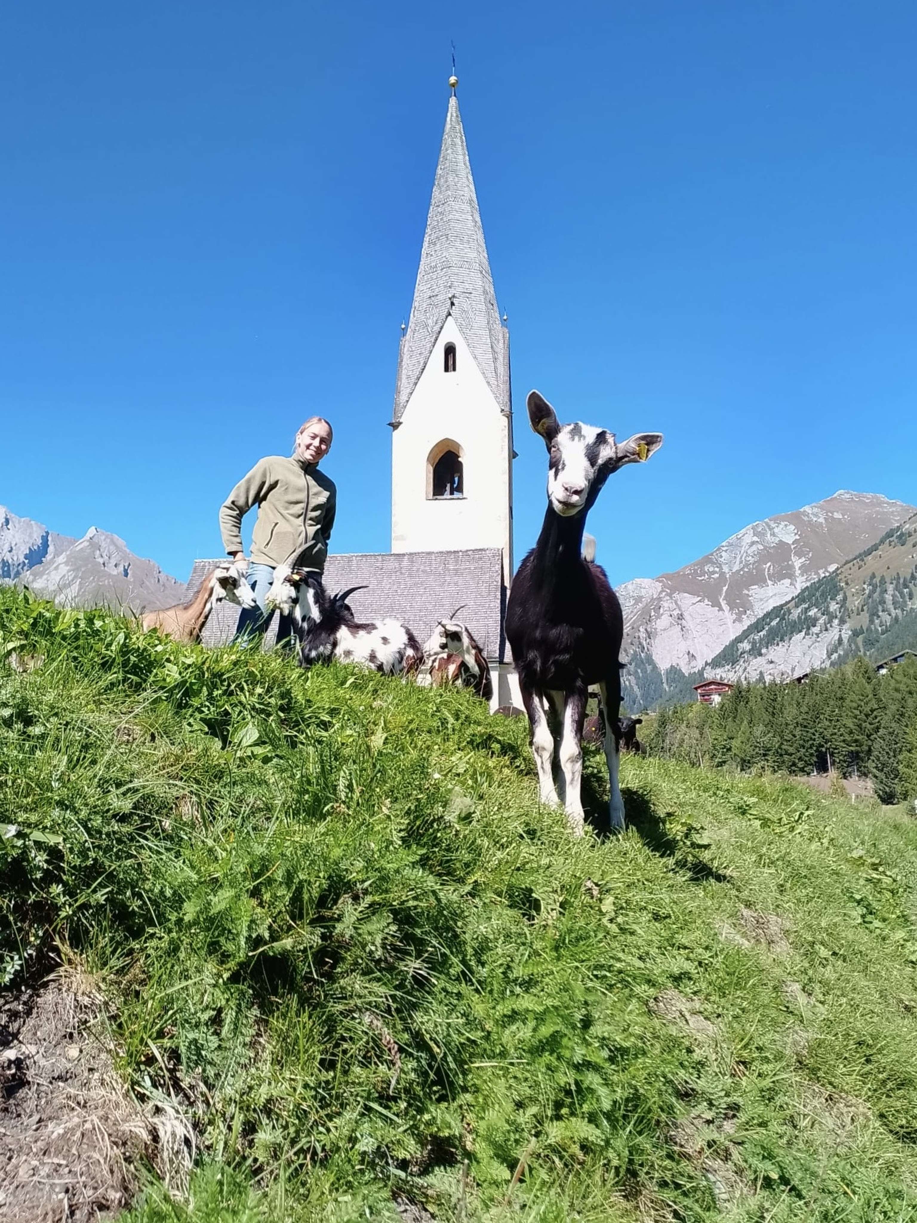 Frau mit Ziegen auf einer Almwiese vor einem Kirchturm und Alpenpanorama bei blauem Himmel.