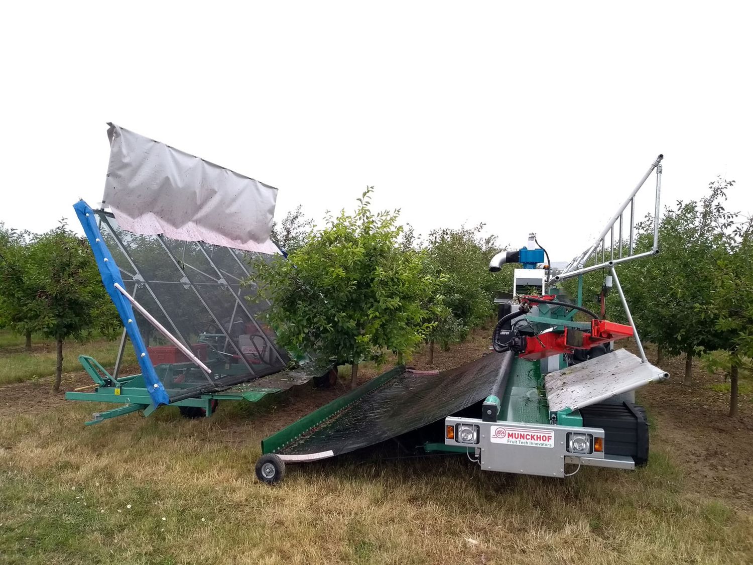 Tree Shaker Munckhof