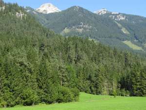 Bergwald 10 ID64974