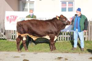 Bild01