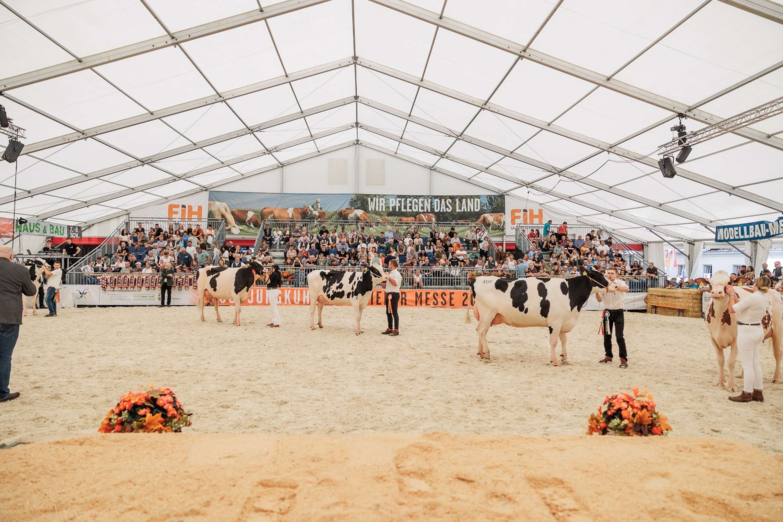 Gefüllte Zuschauerränge in der Tierarena