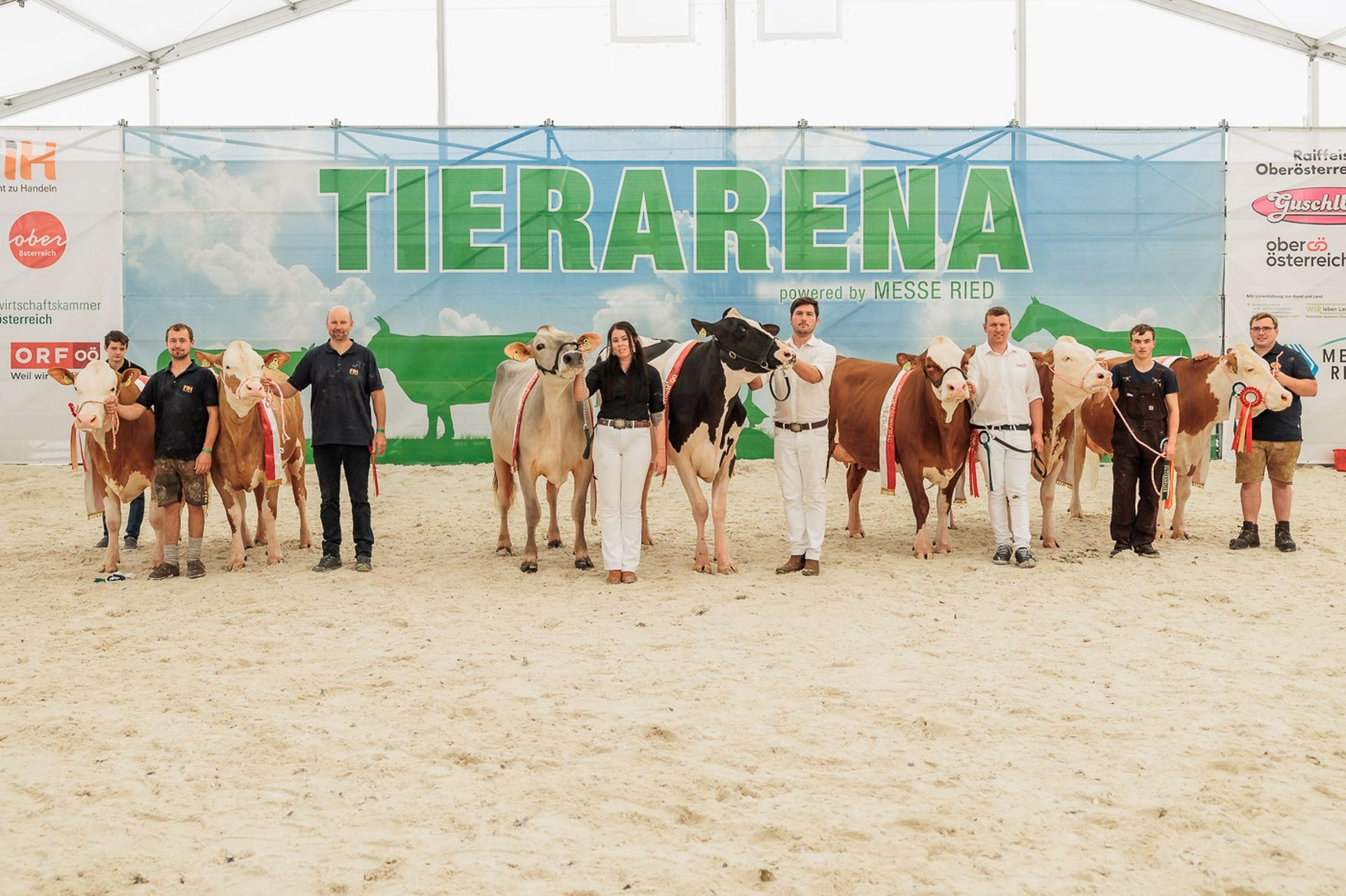 Die Gesamtsieger aller Rassen im Vorführring