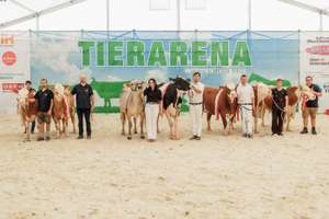 Die Gesamtsieger aller Rassen im Vorführring