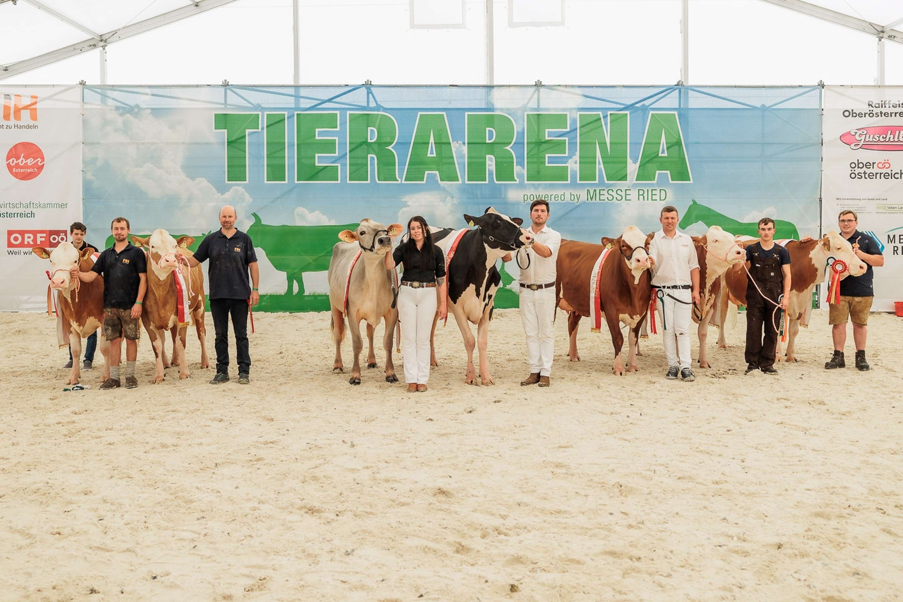 Die Gesamtsieger aller Rassen im Vorführring