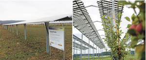 Agro PV