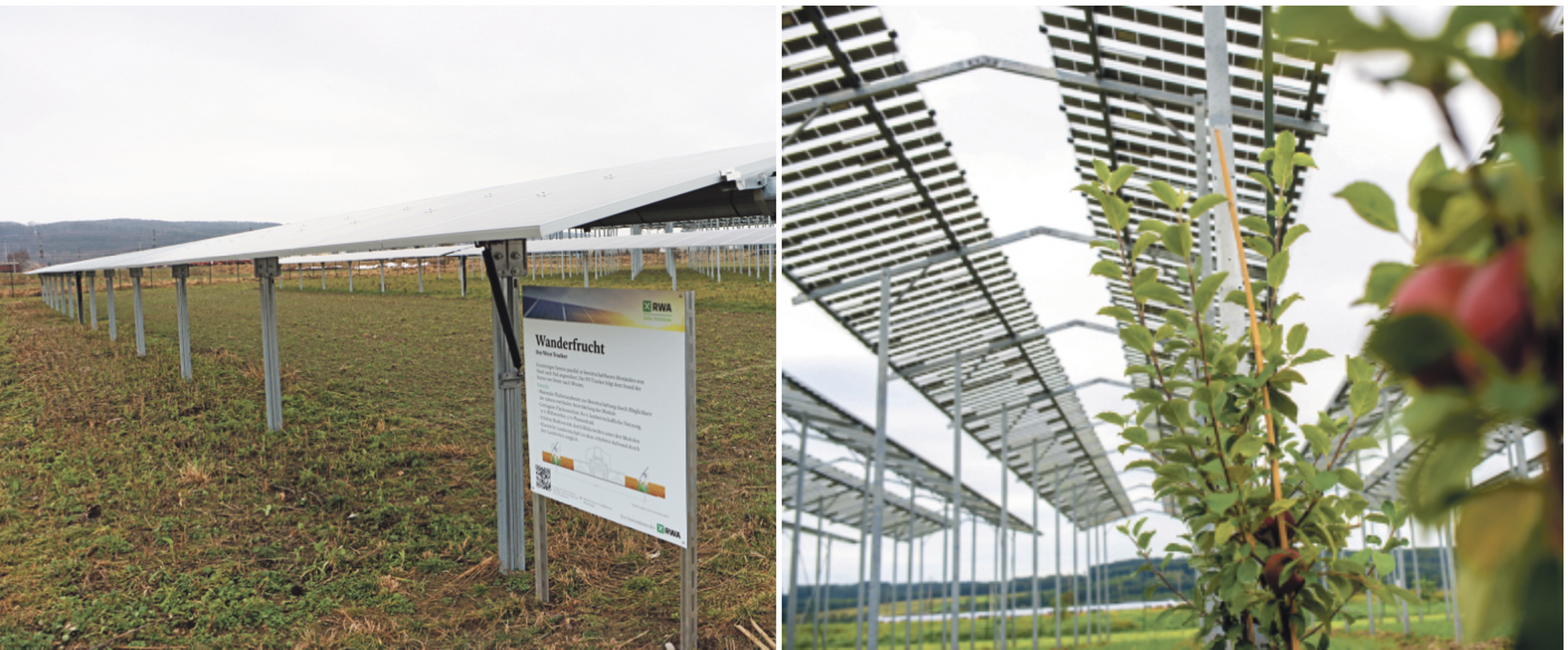 Agro PV