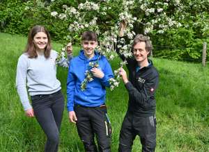 Bestandsaufnahme der Obstbaumblüte an Fachschule Warth