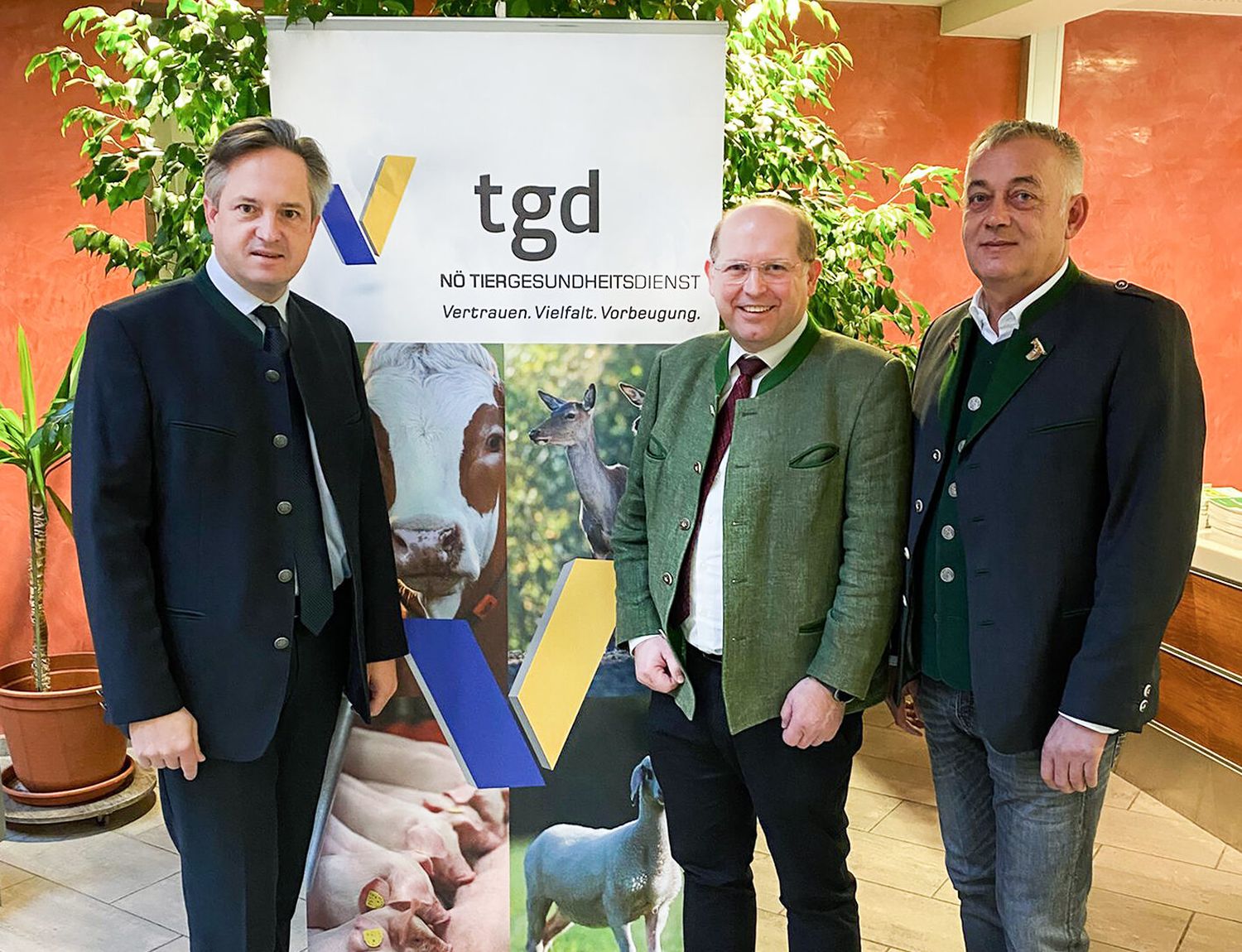 NÖ TGD