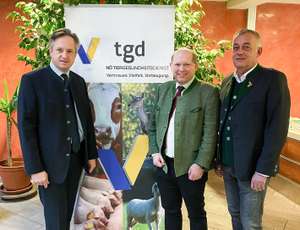 NÖ TGD