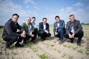 Besichtigung Schädlingsbefall Rübenrüsselkäfer