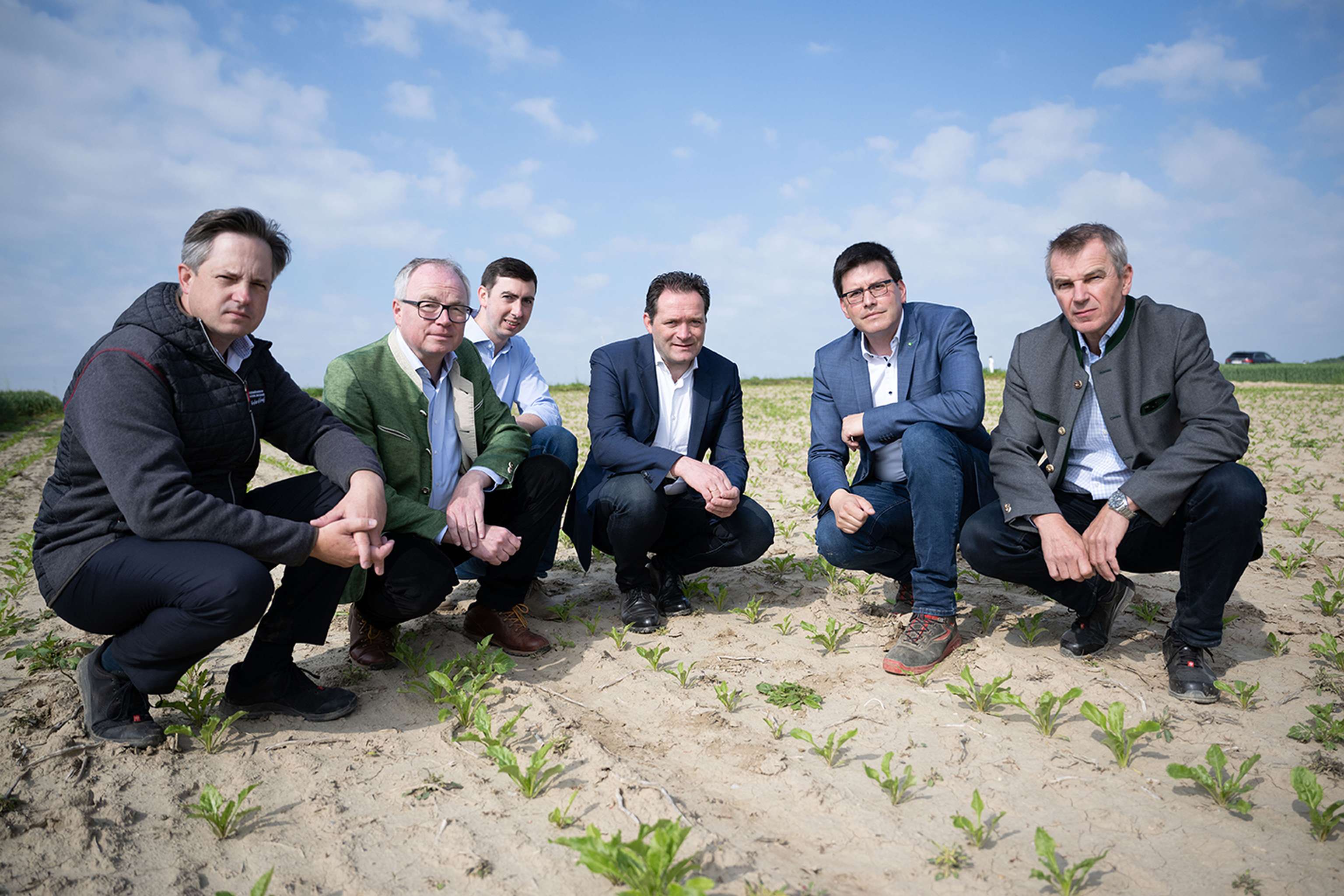 Besichtigung Schädlingsbefall Rübenrüsselkäfer