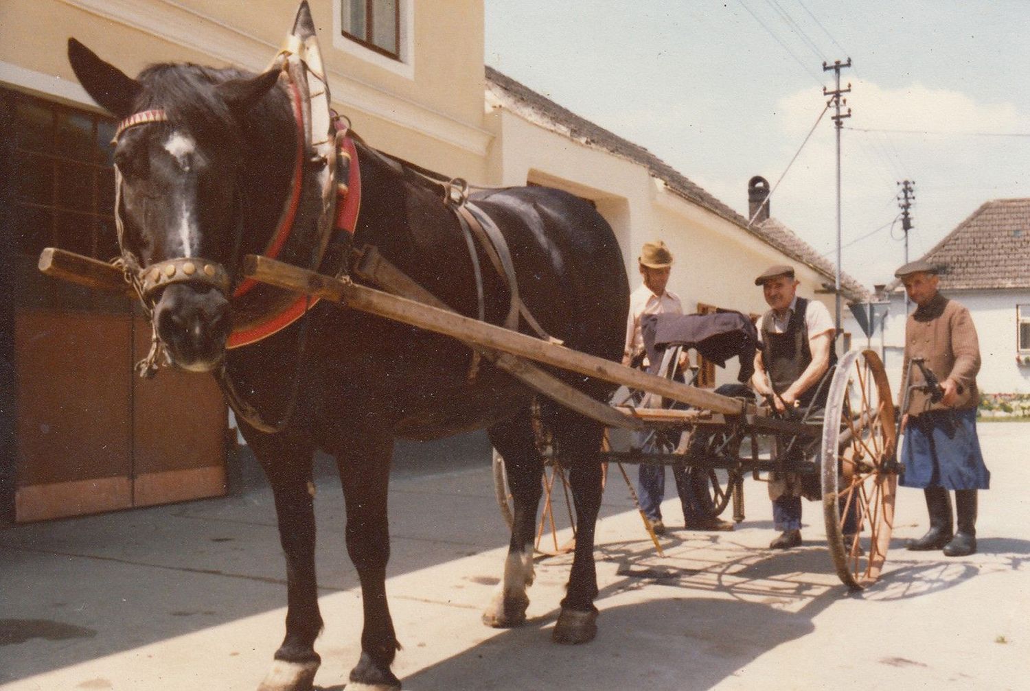 In Erinnerung halten