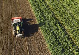 Traktor am Feld