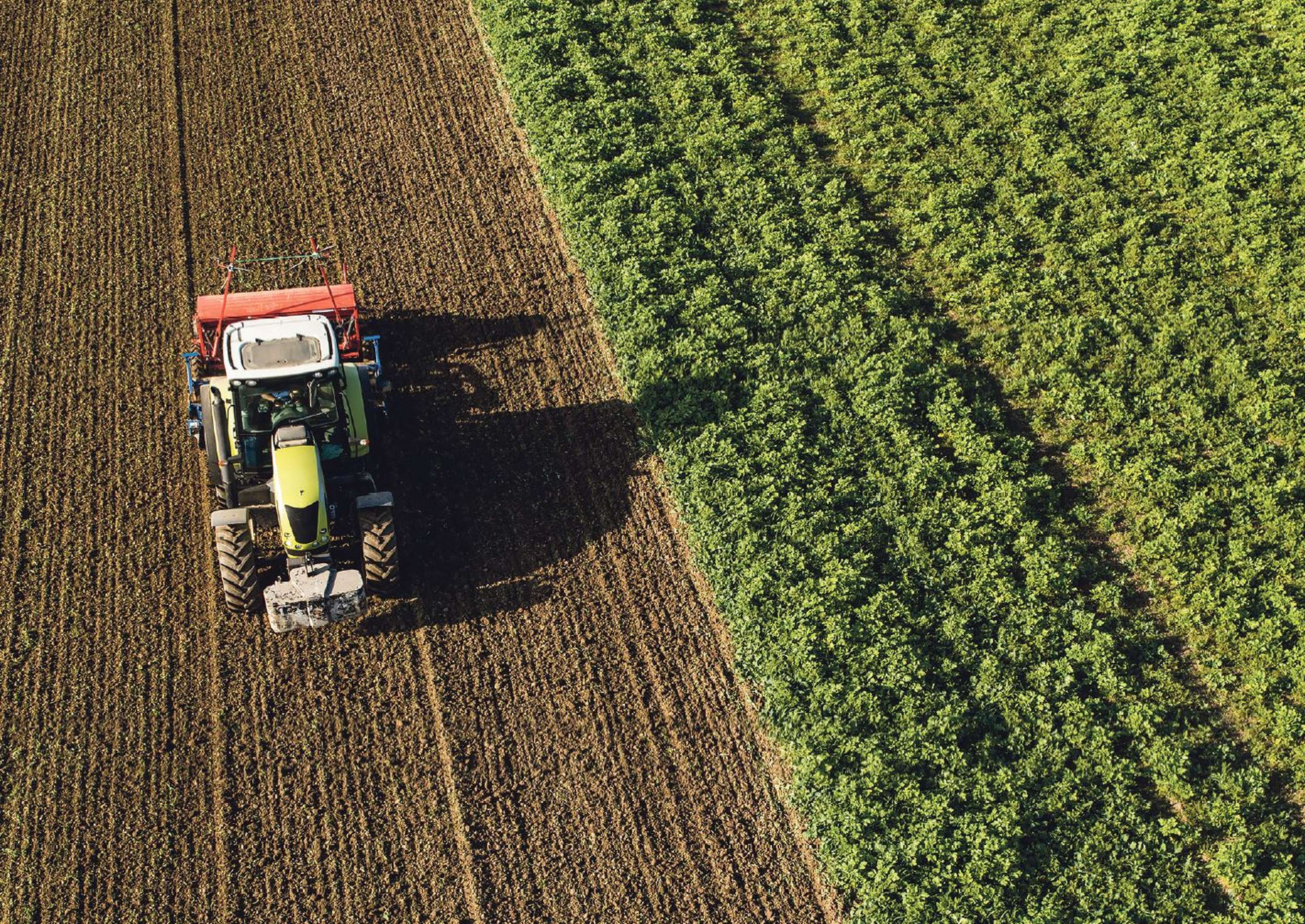 Traktor am Feld